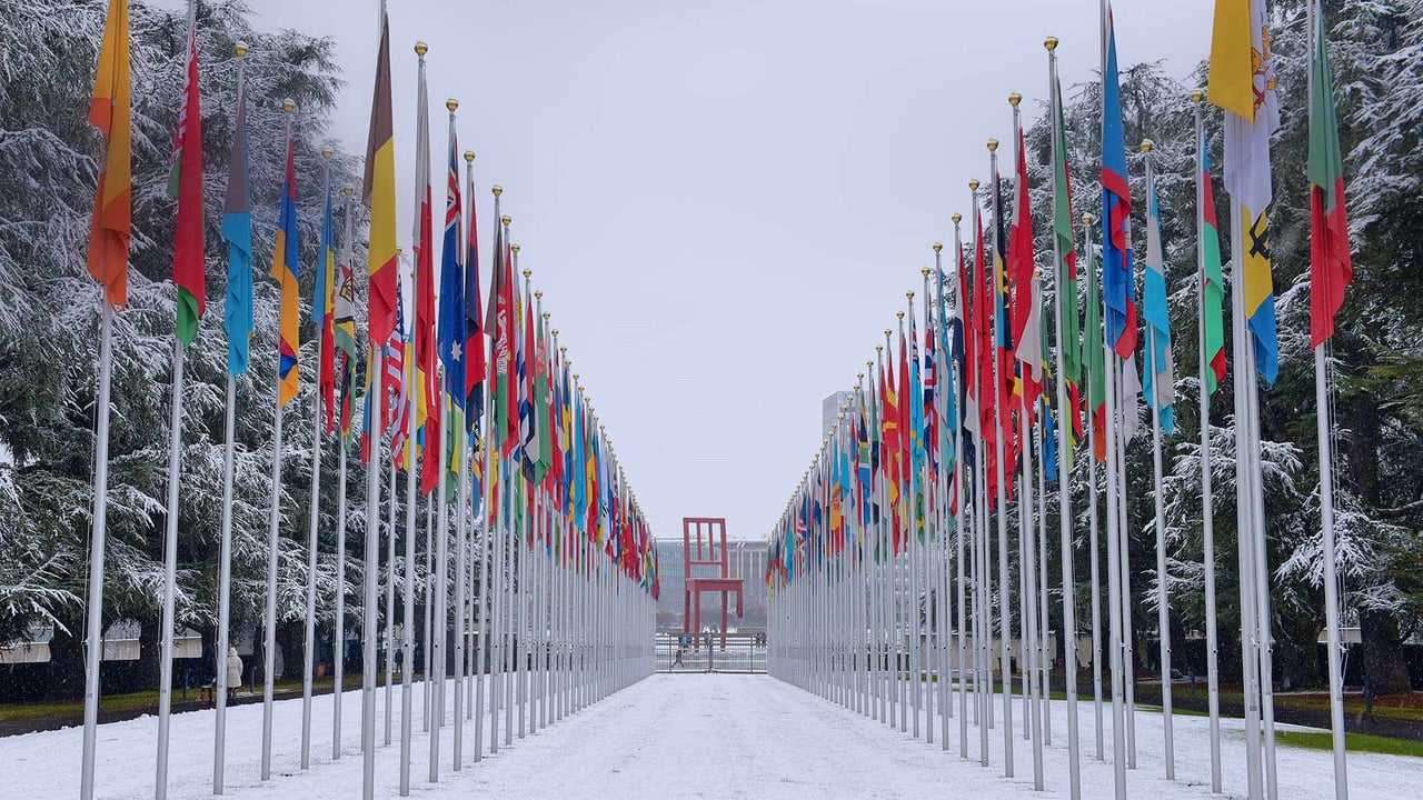 Flags outside the UN's Palace of Nations in Geneva, Switzerland (© Mustafa Yalcin/Anadolu Agency/Getty Images)