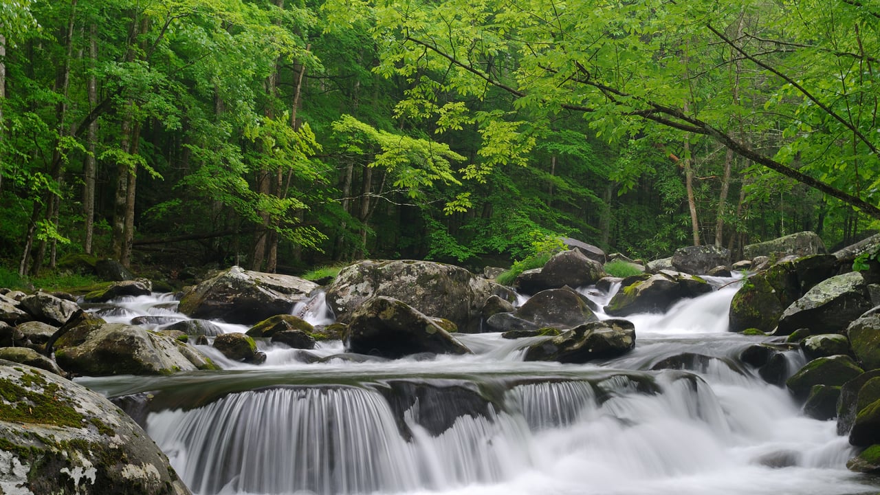Little Pigeon River, Great Smoky Mountains National Park, Tennessee (© GreenStock/Getty Images)