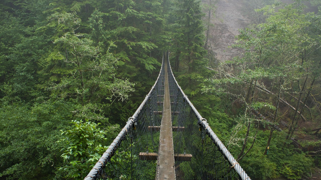 Pont suspendu de Logan Creek, Sentier de la Côte-Ouest, Canada (© Tandem Stock/Adobe Stock)