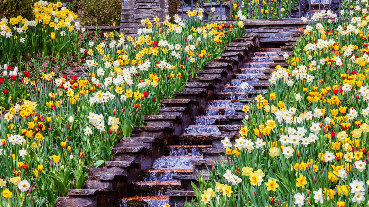 Blumengarten auf der Insel Mainau im Bodensee, Baden-Württemberg (© toriru/Shutterstock)
