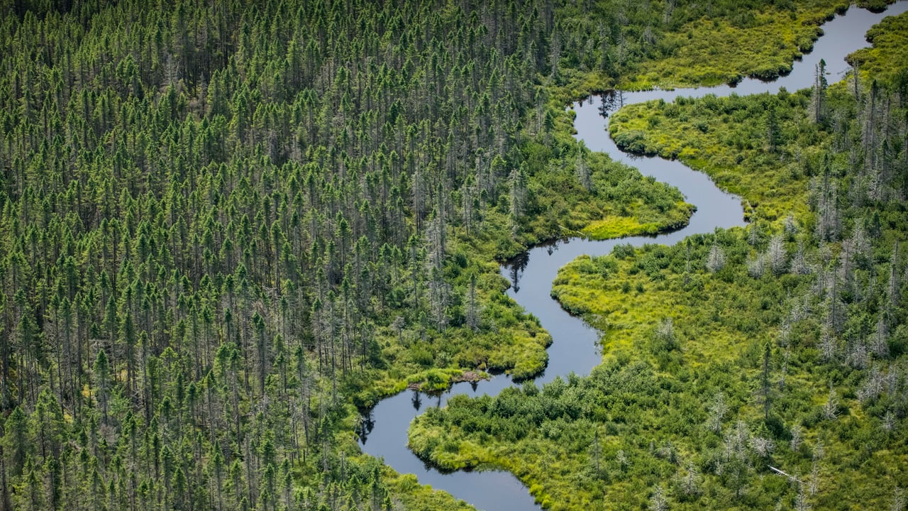 Norcross Brook and wetlands near Moosehead Lake in Piscataquis County, Maine (© Aaron Black-Schmidt/Tandem Stills + Motion)