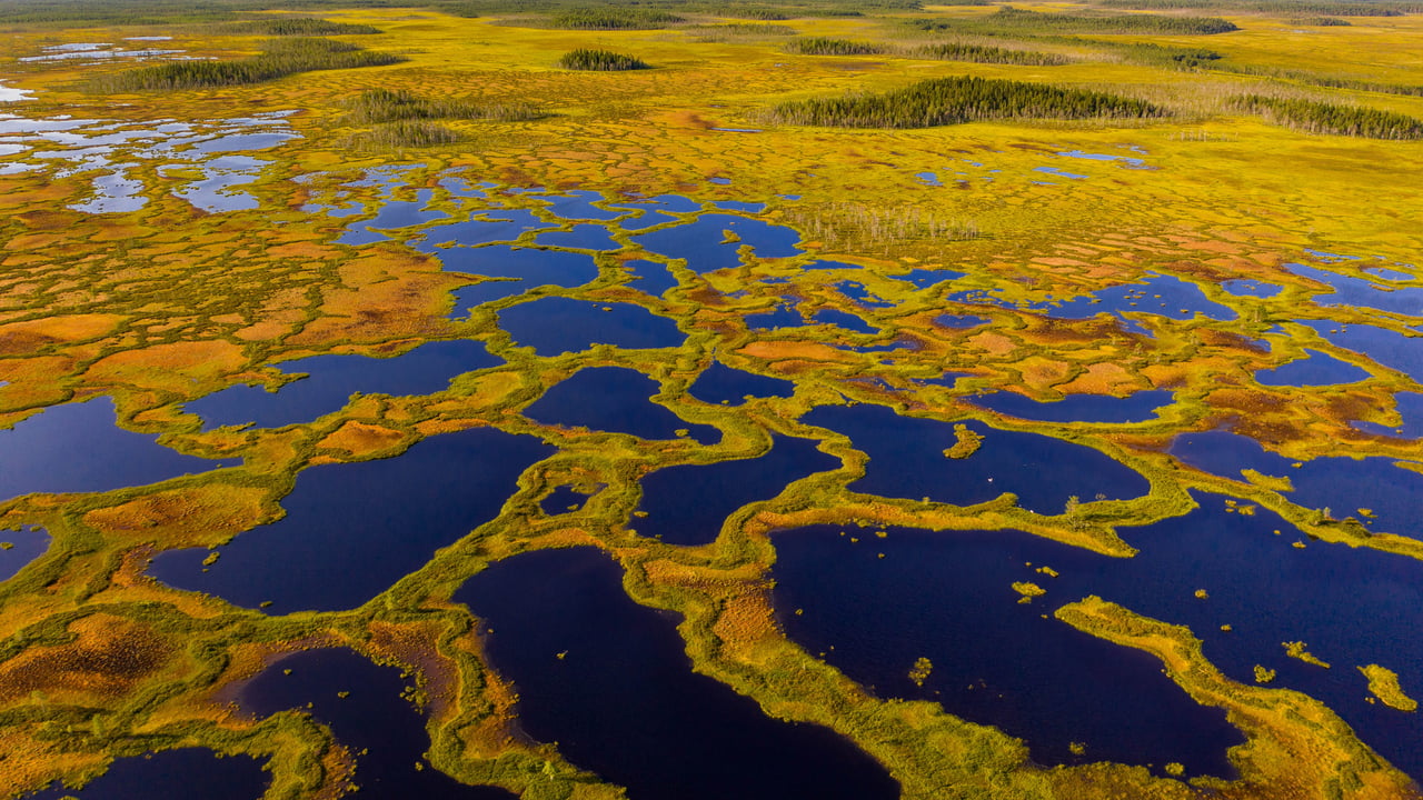 Aerial view of peatland in Martimoaapa Mire Reserve, Finland (© romikatarina/Shutterstock)