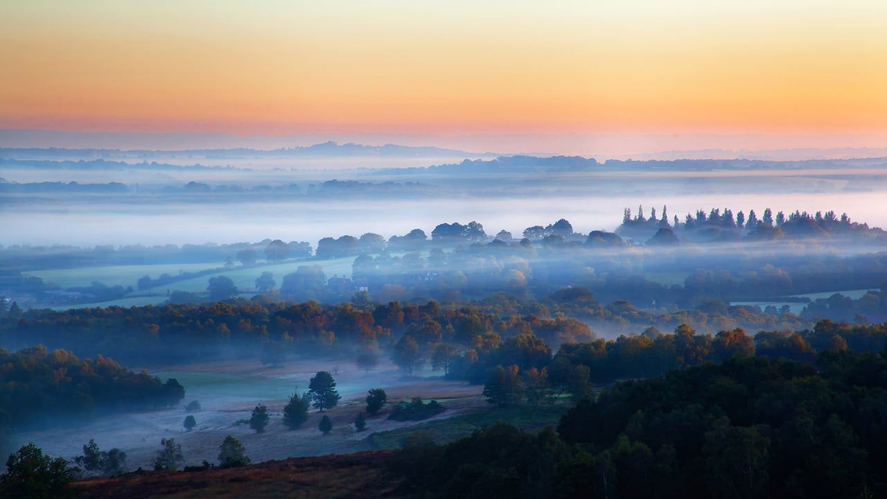 Ashdown Forest, East Sussex, United Kingdom (© Tim Stocker Photography/Getty Images)