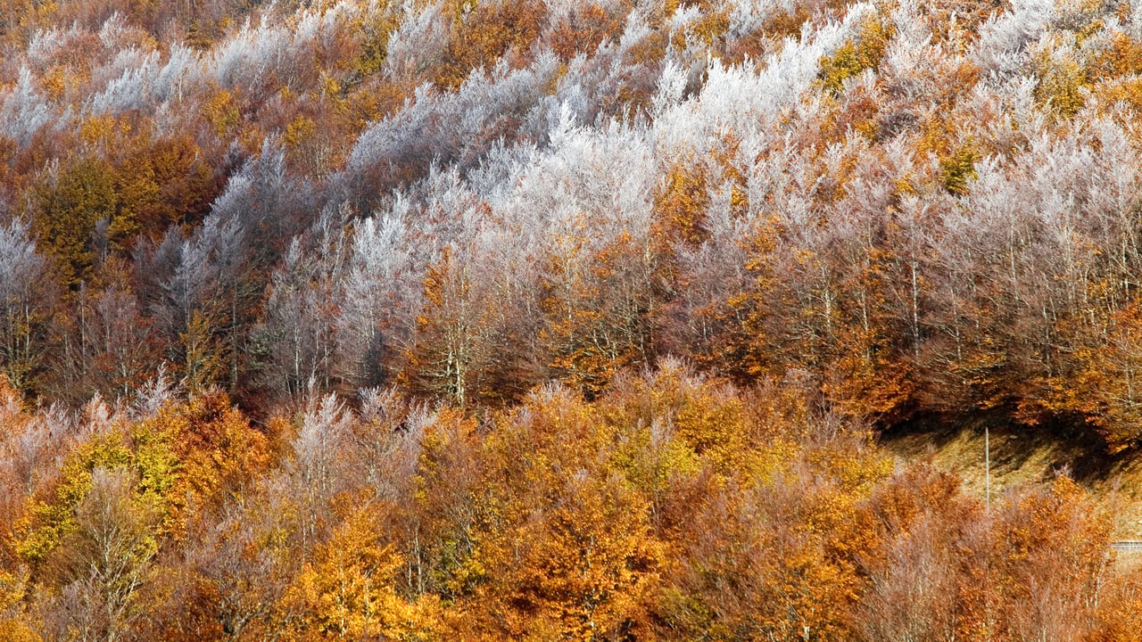 Les Cévennes entre deux saisons (© Yann Guichaoua/Age Fotostock)