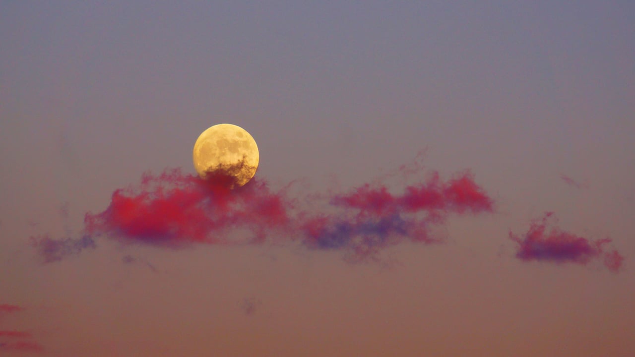 ｢夕焼けに映える月｣ (© kanzilyou/iStock/Getty Images Plus)