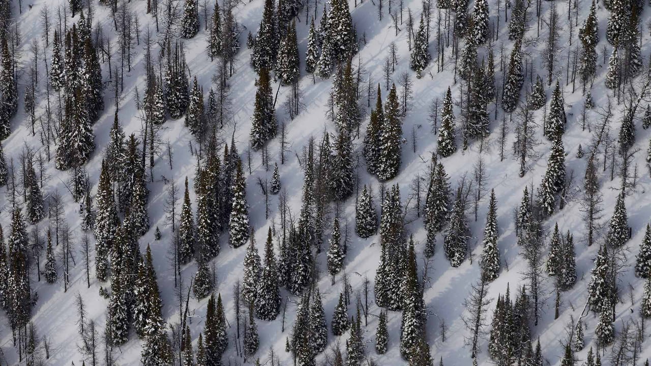 Mount Goodsir and surroundings in Yoho National Park, B.C. (© Peter Essick/Cavan Images)