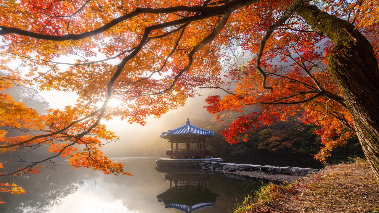 Autumn in Naejangsan National Park, South Korea (© Twenty47studio/Getty Images)