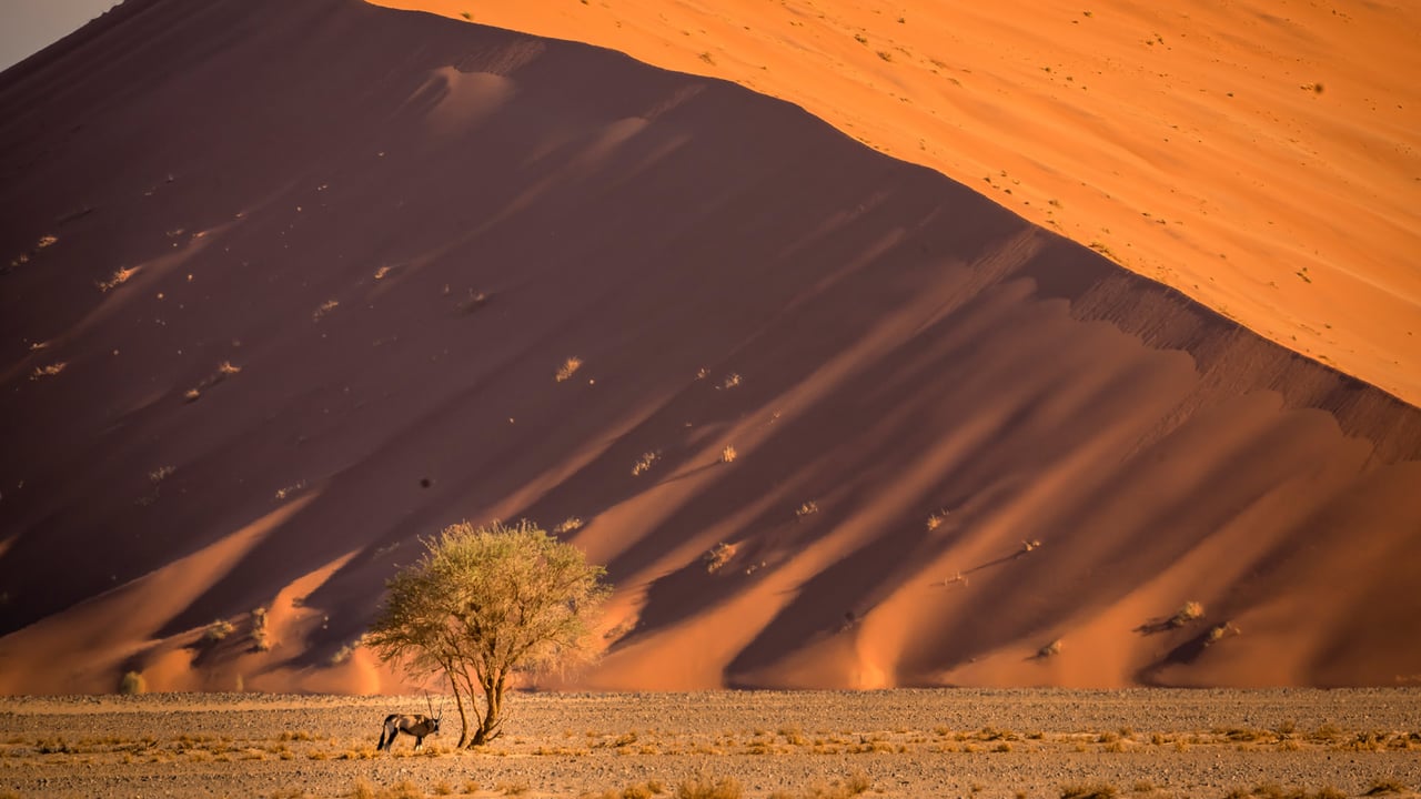 Sossusvlei sand dunes, Namib desert, Namibia (© Airpano/Amazing Aerial Agency)