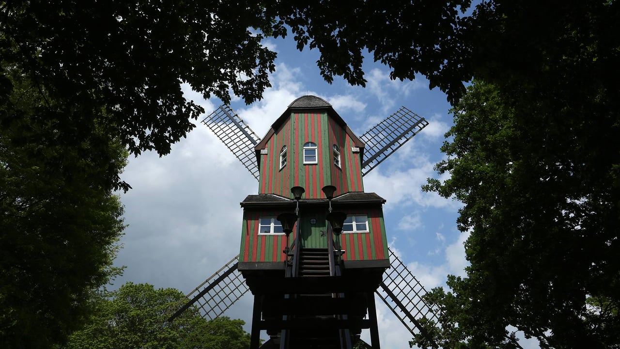Narrenwindmühle (Fool's Mill) windmill, Dülken, Germany (© dpa picture alliance/Alamy)