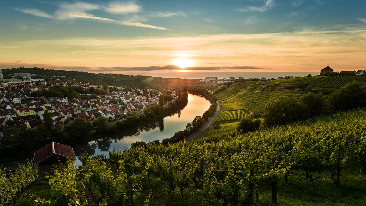 Sonnenuntergang über den Weinbergen von Steinhaldenfeld im Neckartal bei Stuttgart, Baden-Württemberg (© Cyril Gosselin/Getty Images)