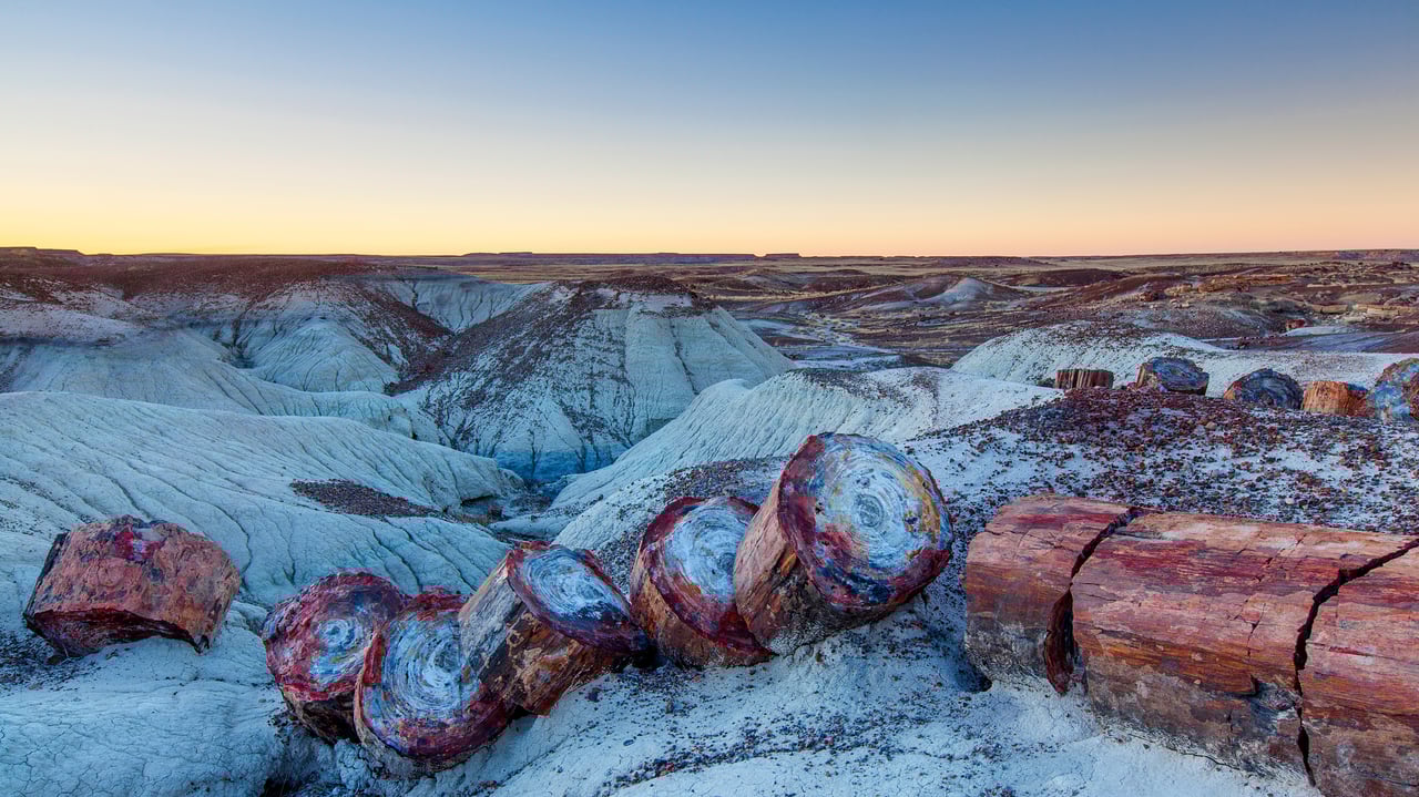 Petrified Forest National Park, Arizona, USA (© Ian Shive/Tandem Stills + Motion)