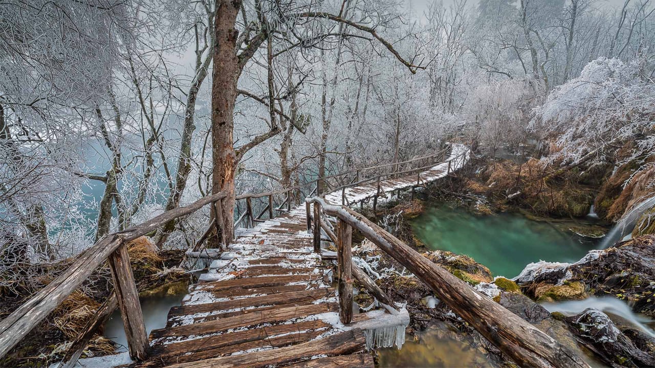 Elevated path in Plitvice Lakes National Park, Croatia (© Alessandro Laporta/Offset by Shutterstock)