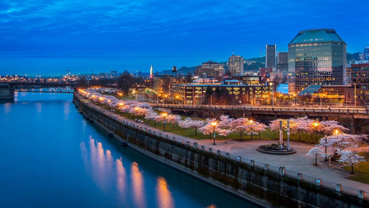 Cerisiers en fleur à Tom McCall Waterfront Park, Portland, États-Unis (© Eric Vogt/Tandem Stills + Motion)