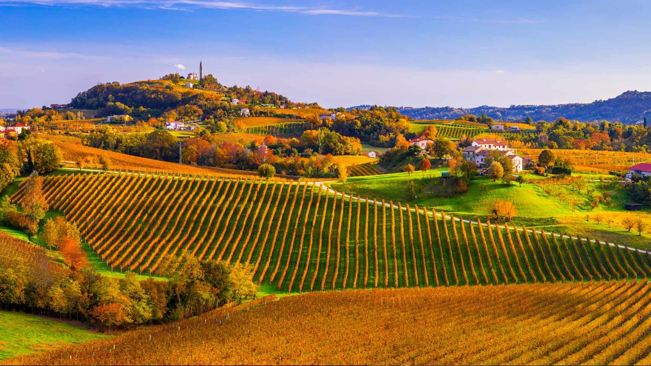 Prosecco Hills of Conegliano and Valdobbiadene, Veneto, Italy (© Olimpio Fantuz/eStock Photo)