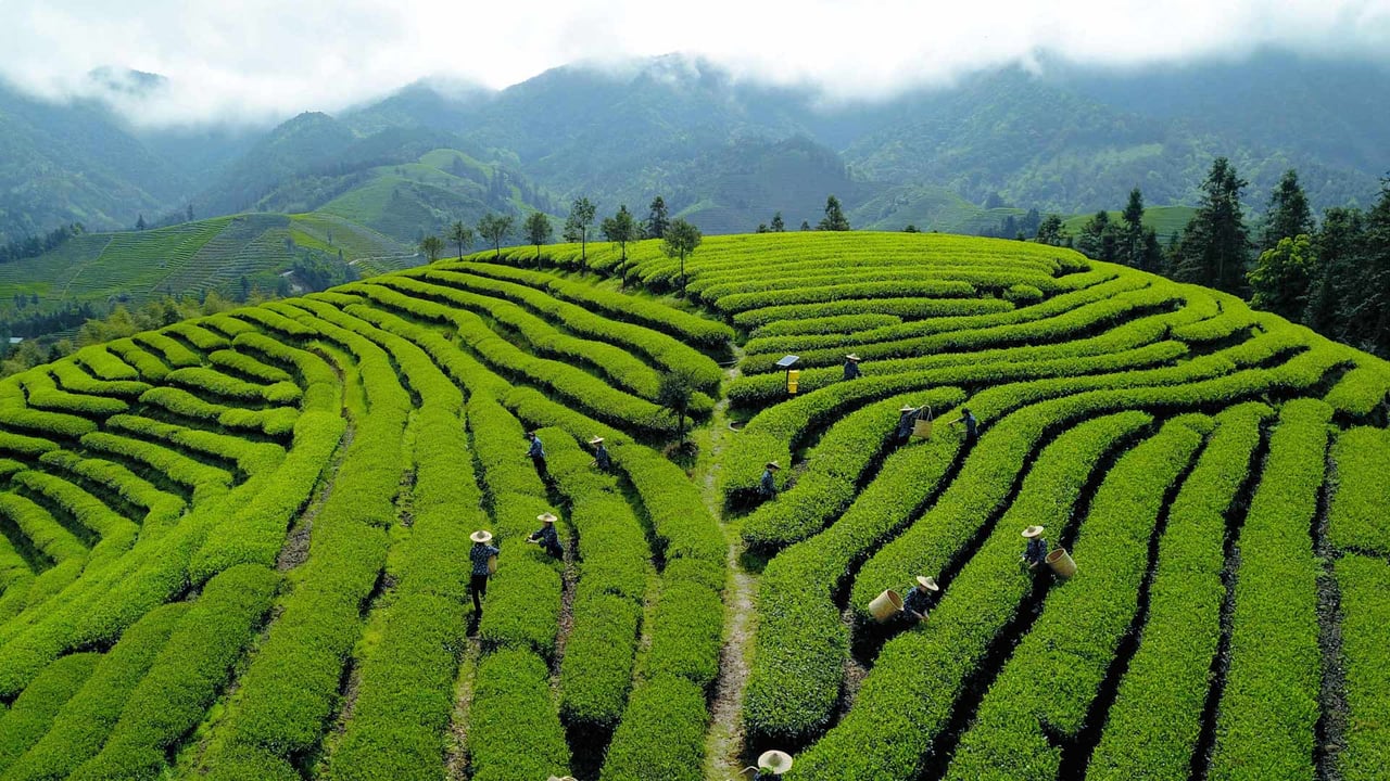 【今日清明节】 (© Xinhua/Alamy Stock Photo)