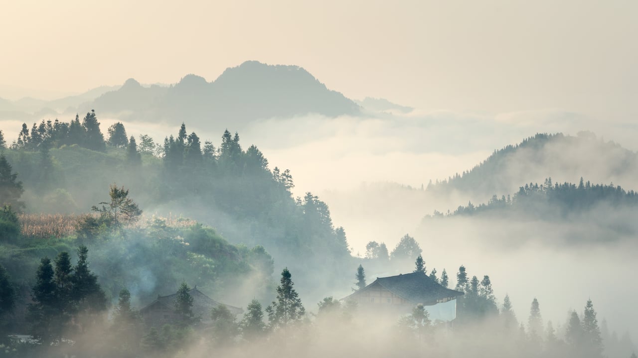 【今日清明】（ © yangphoto ）