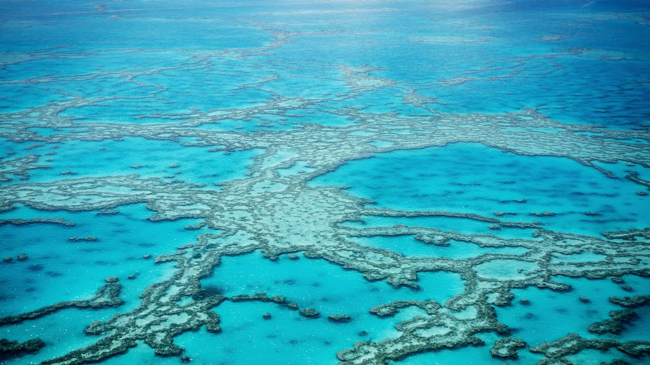 Vue aérienne de la Grande Barrière de Corail, Queensland, Australie (© Francesco Riccardo Iacomino/Getty Images)