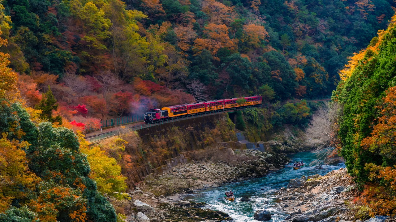 嵯峨野トロッコ列車, 京都府京都市 (© giggsy25/Shutterstock)