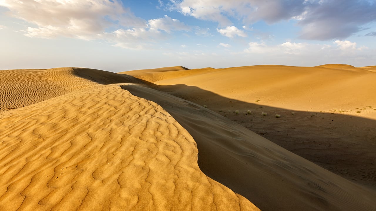 Sand dunes in the Thar Desert, Rajasthan (© f9photos/iStock/Getty Images)