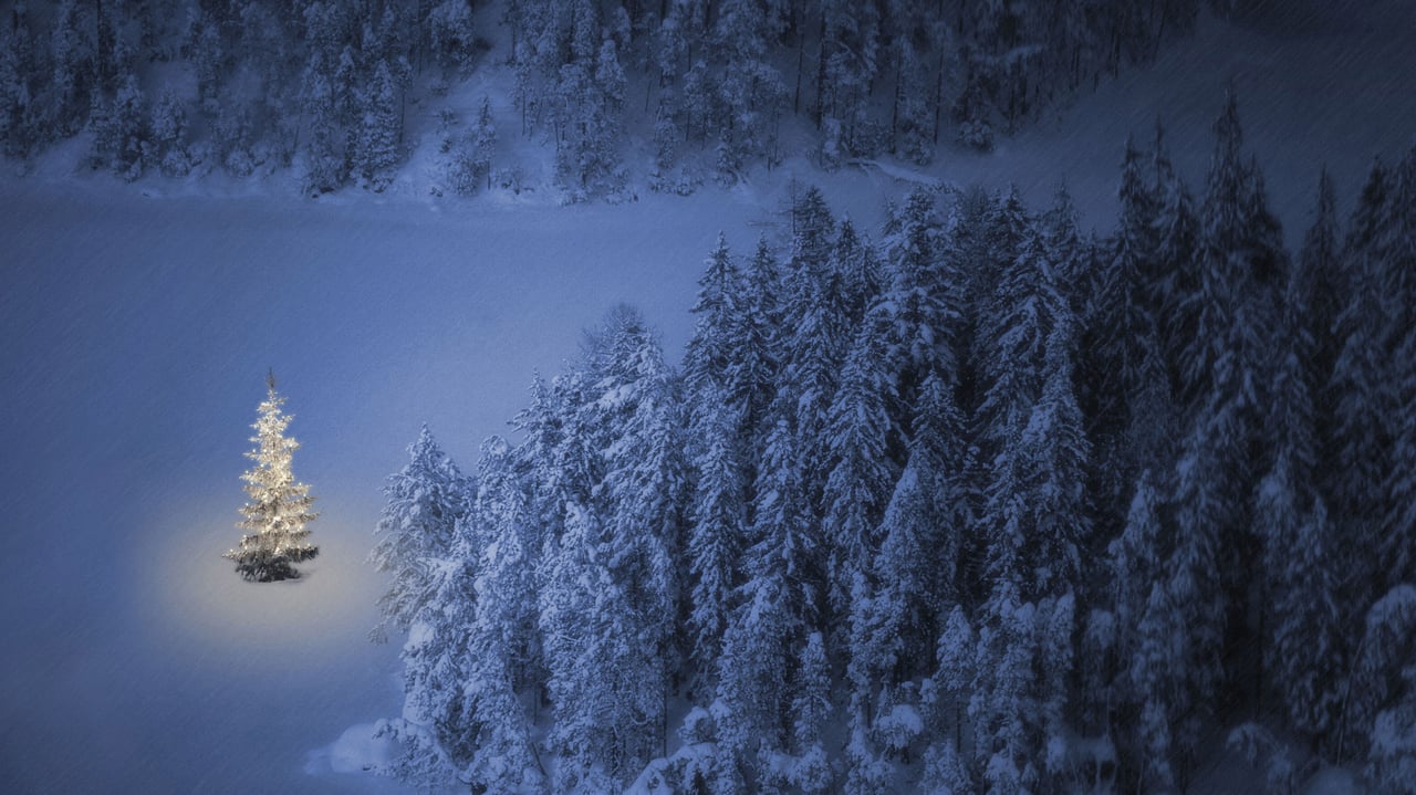 Christmas tree at Weissensee, a small lake near Ehrwald in Tyrol, Austria (© nagelestock/Alamy)