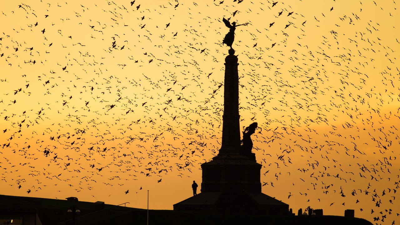 Aberystwyth war memorial, Wales (© ffotocymru/Alamy Stock Photo)