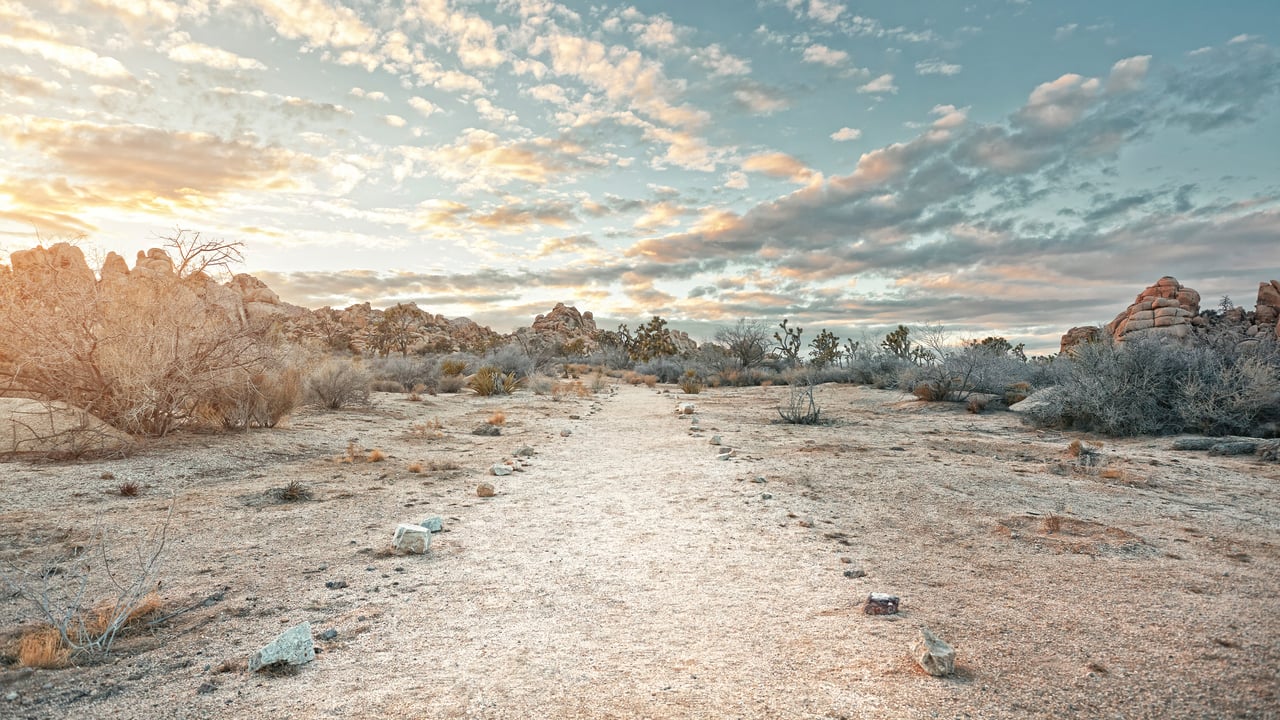 Joshua Tree National Park, California (© JJ Landscapes/Getty Images)