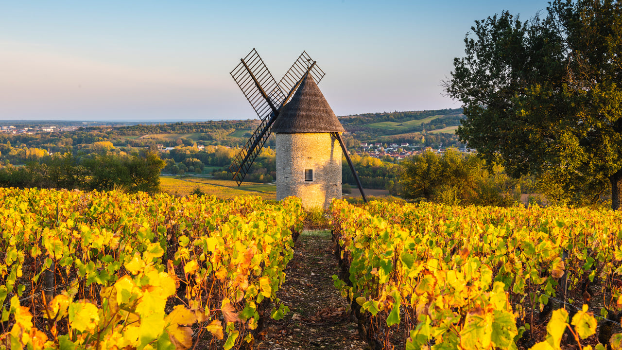 Sorine windmill and vineyards, Santenay wine region, Côte de Beaune, Burgundy, France (© Marco Bottigelli/Getty Images)