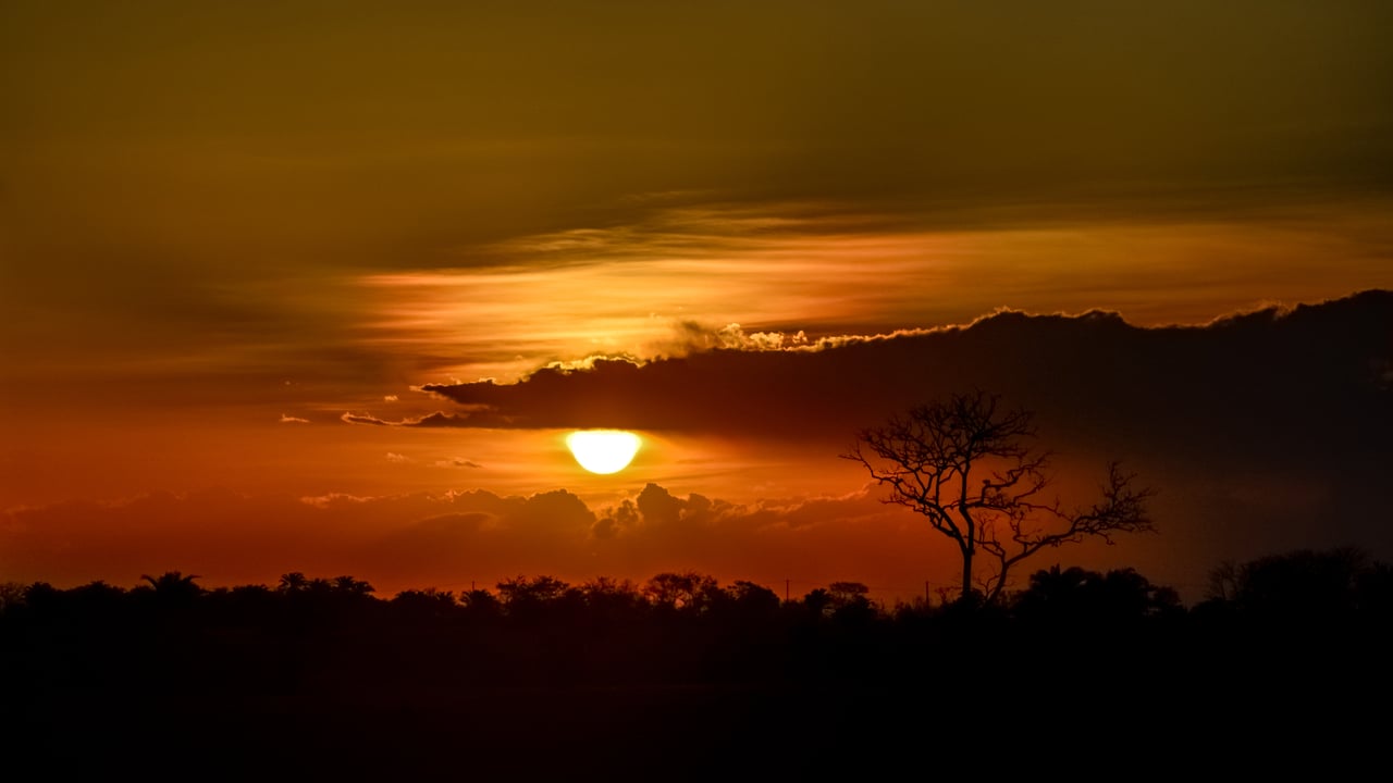 Savana em Piritiba, Bahia (© Gervanio Guimaraes/Getty Images)