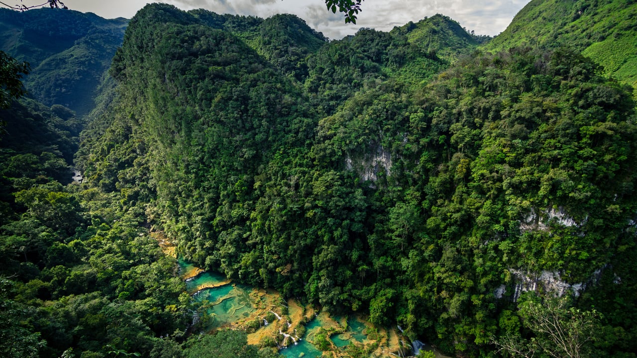 Semuc Champey nature park in Guatemala (© Joel Sharpe/Getty Images)