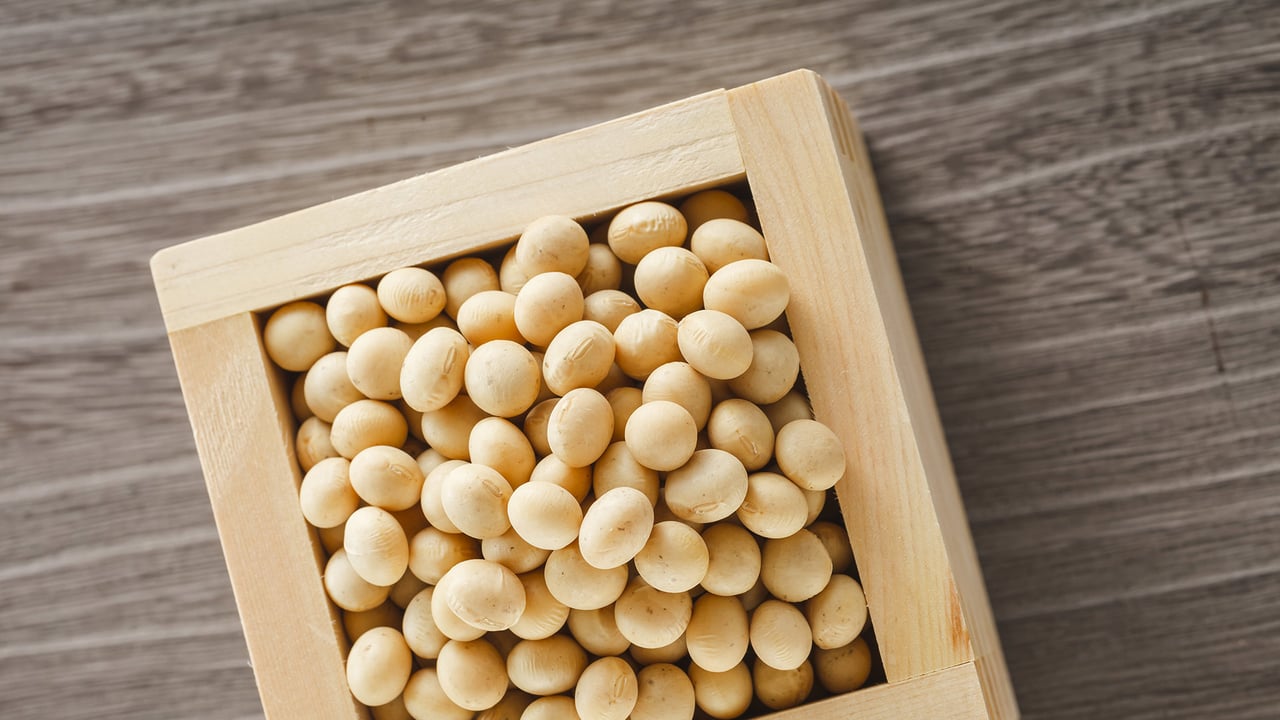 枡いっぱいの節分の福豆 (© Nishihama/Shutterstock)