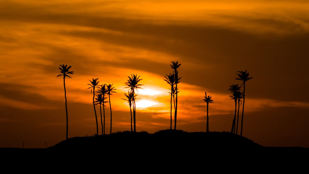Silhueta de Árvores contra o Céu Alaranjado, Jericoacoara, Ceará (© Fuka jaz/Getty Images)