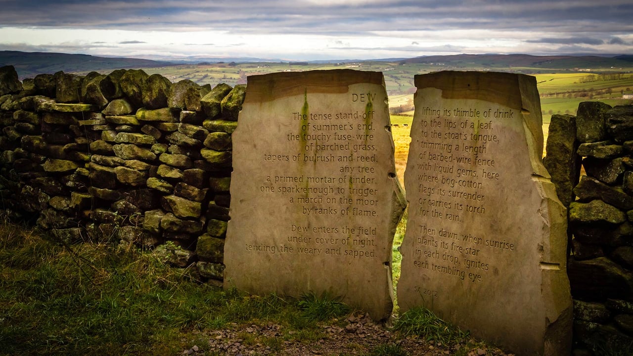The Dew Stone, part of the Stanza Stones trail, in Yorkshire (© Rebecca Cole/Alamy)