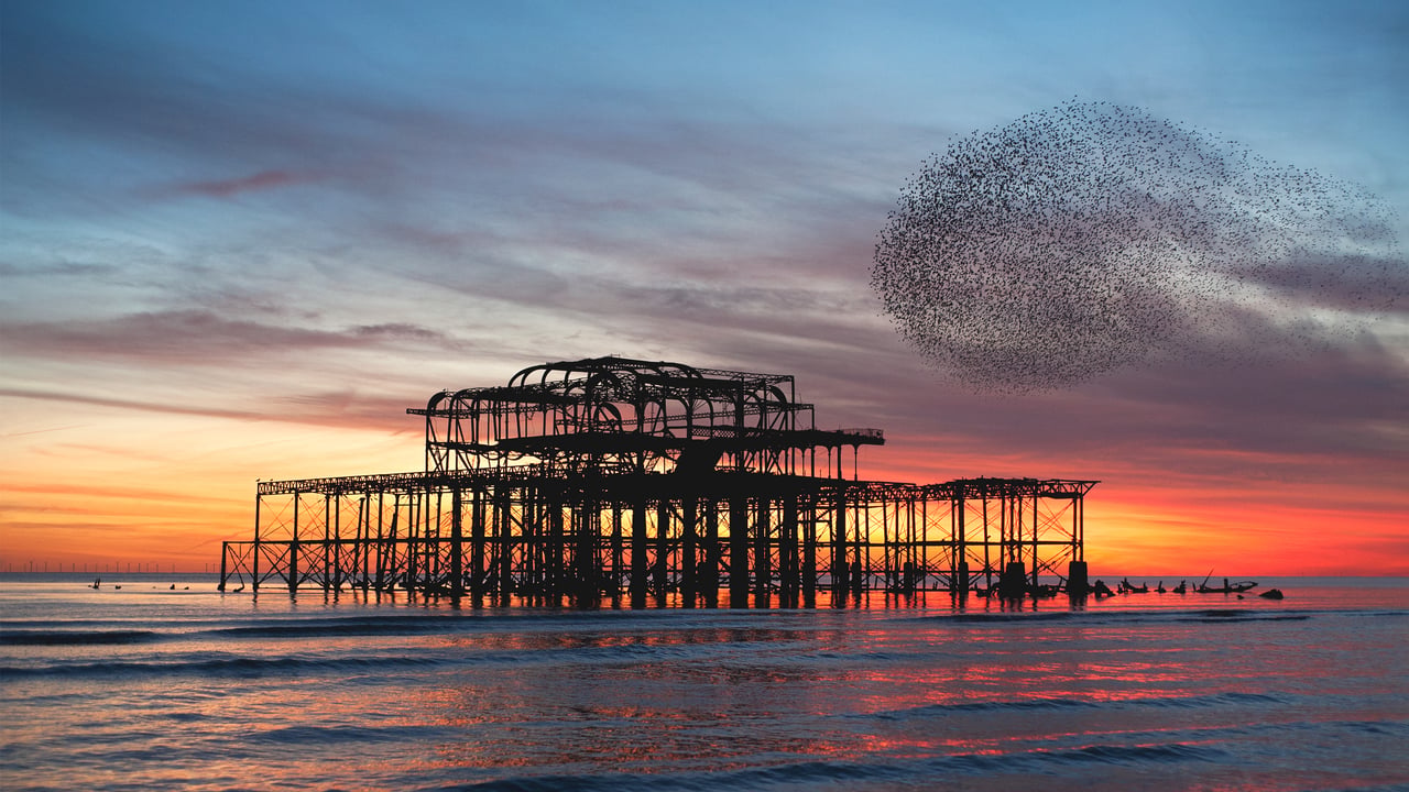 Nuée d’étourneaux au-dessus des ruines de la jetée ouest de Brighton, Angleterre (© Philip Reeve/Photodisc/Getty Images)