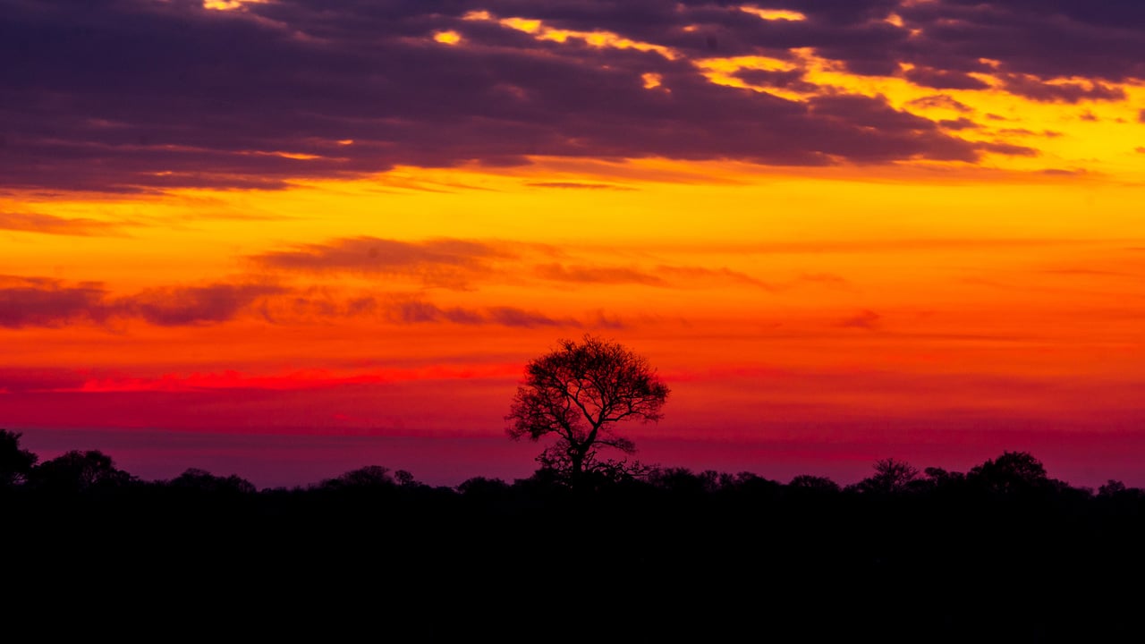 Um belo pôr do sol no Pantanal do Brasil (© Lucas Ninno/Getty Images)