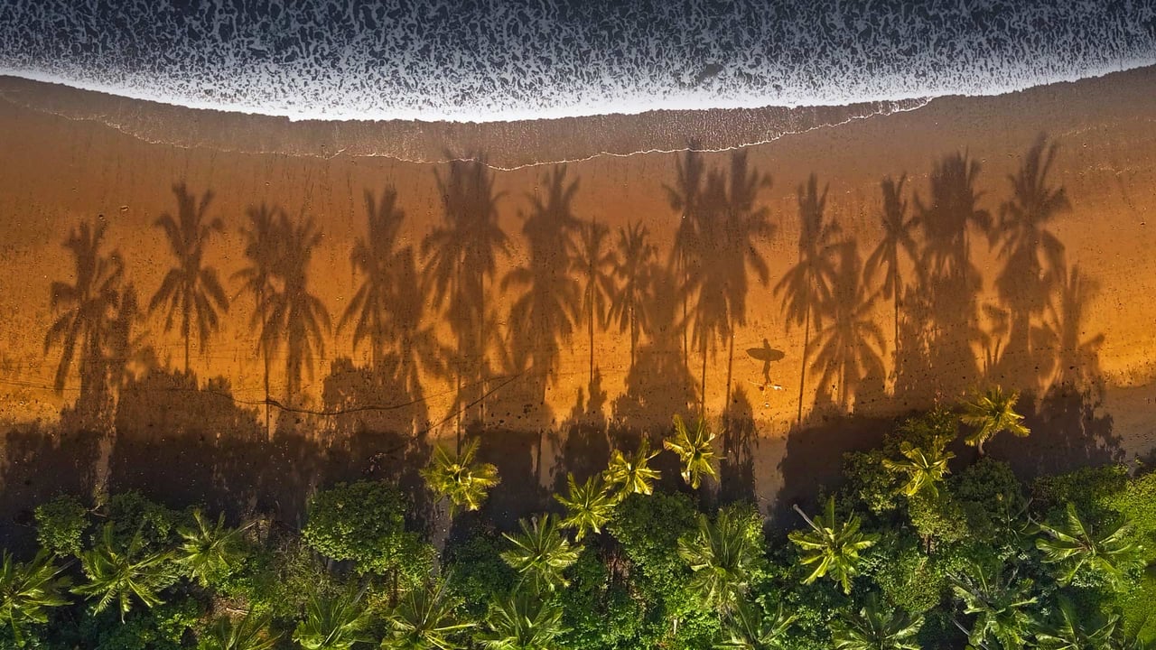 Surfer on the beach in Medewi, Bali, Indonesia (© helivideo/Getty Images)