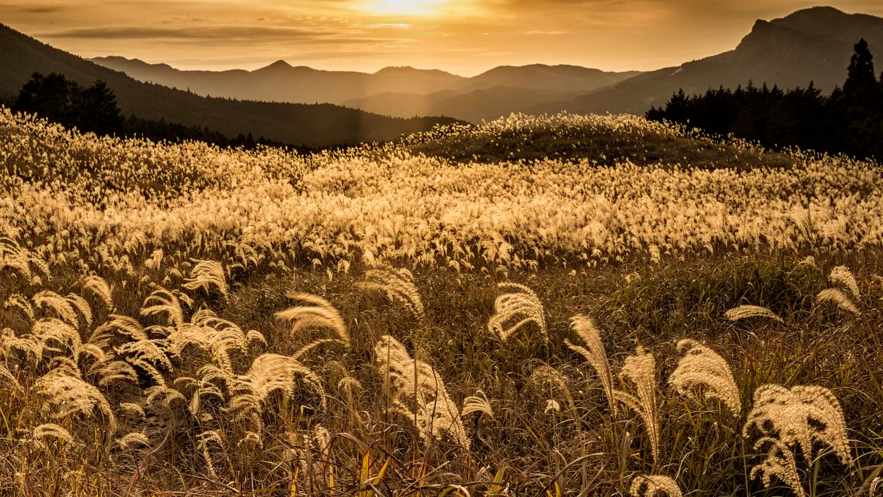 ｢曽爾高原の夕焼け｣奈良県 (© Ken1200/Shutterstock)