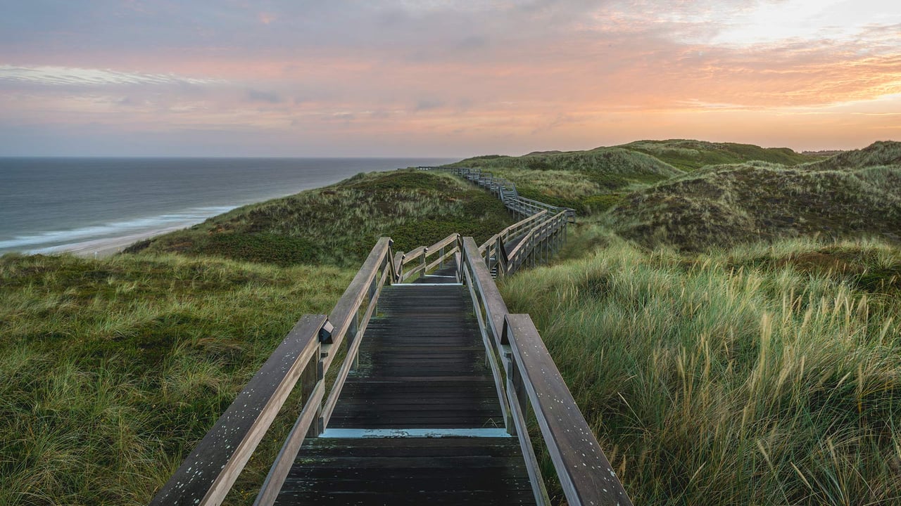 Boardwalk to the beach, Wenningstedt-Braderup, Sylt Island, Schleswig-Holstein, Germany (© Kerstin Bittner/Westend61/Offset by Shutterstock)