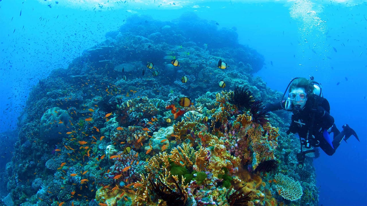 Dr. Sylvia Earle explores Australia's Great Barrier Reef in a scene from 'Mission Blue' (© Bryce Groark/AP Photo/Netflix)
