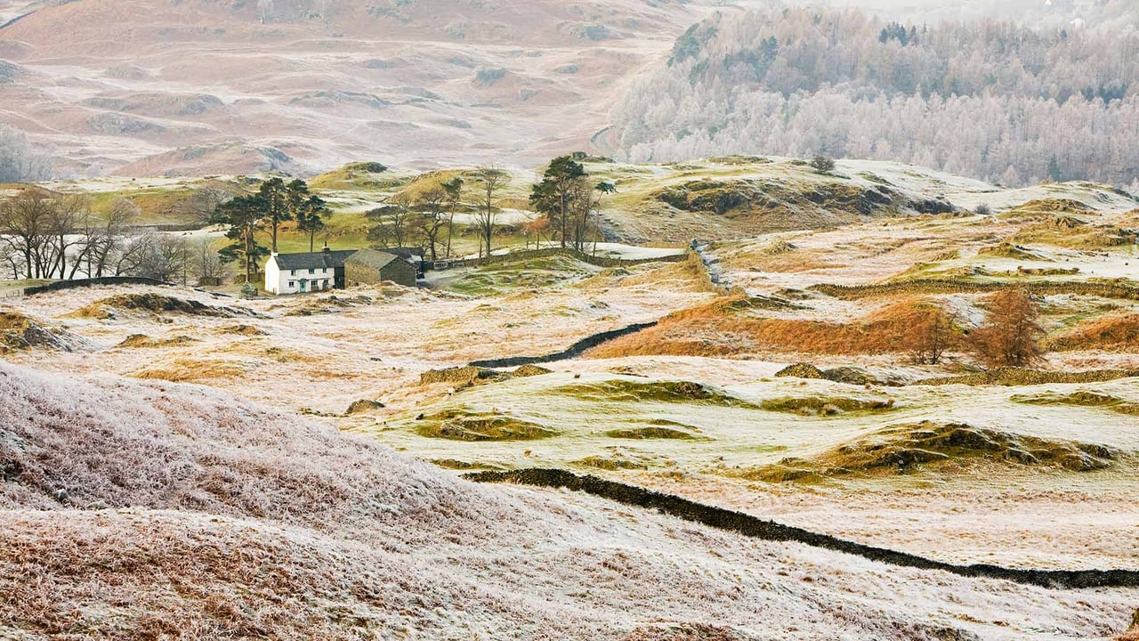 Hoar frost on vegetation near Coniston, Lake District (© Ashley Cooper/Getty Images)