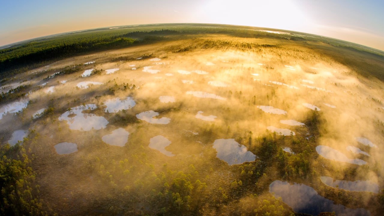 Réserve naturelle d’Alam-Pedja, Tartu, Estonie (© Sven Zacek/Nature Picture Library)