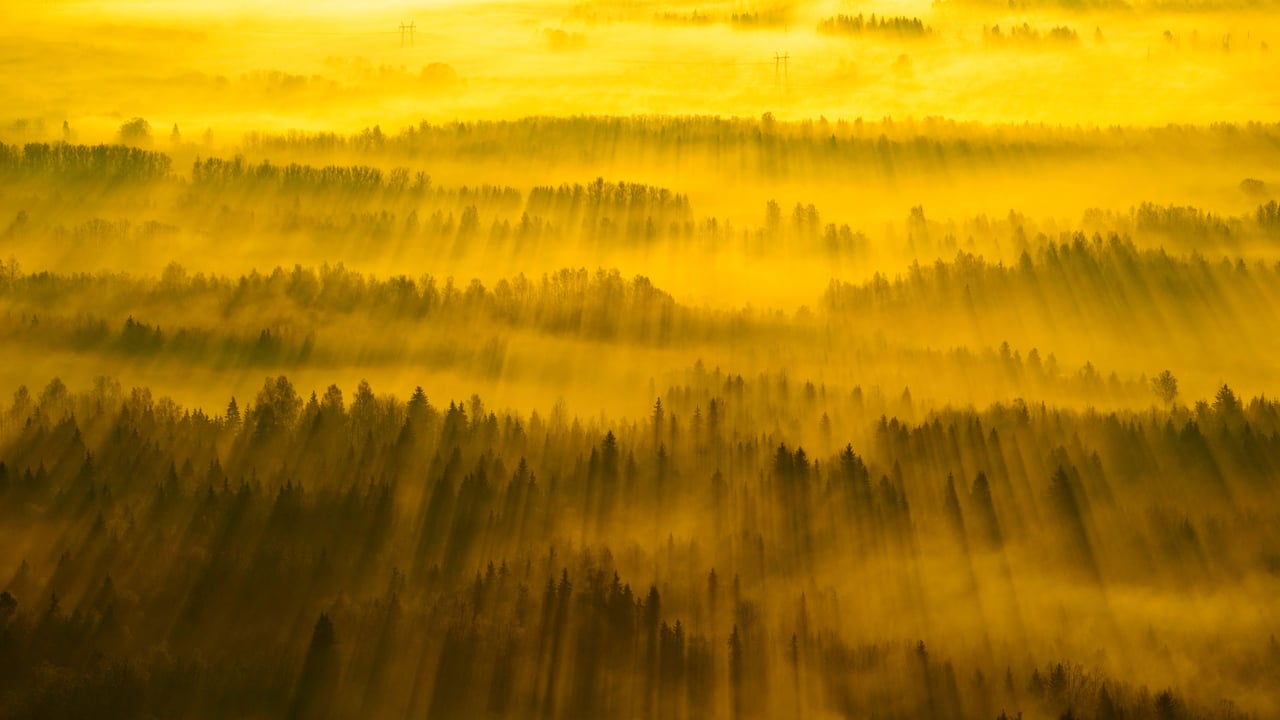 Sunbeams across Tartu County, Estonia (© Sven Zacek/Minden Pictures)