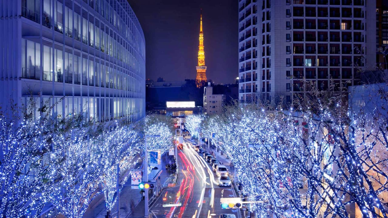 けやき坂のイルミネーション, 東京 (© Kinsei-TGS/Getty Images)