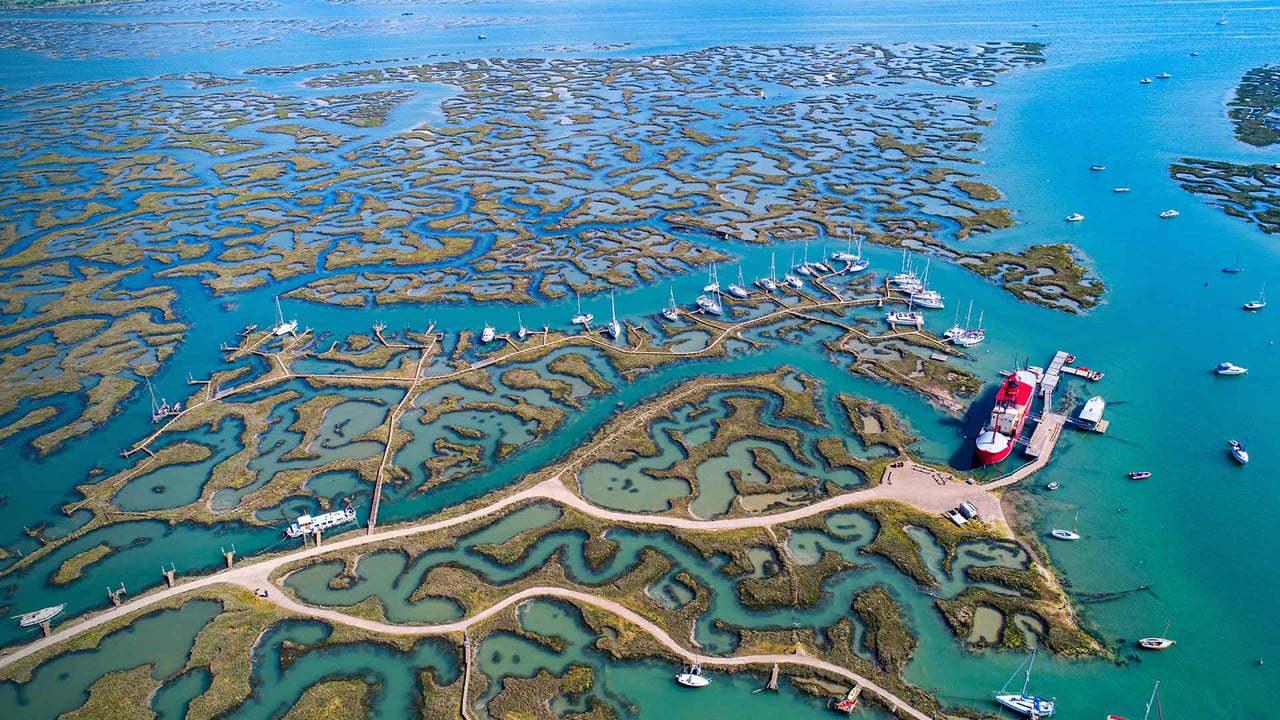Boats in Tollesbury Marina, Essex (© Geoffrey Robinson/Alamy Stock Photo)