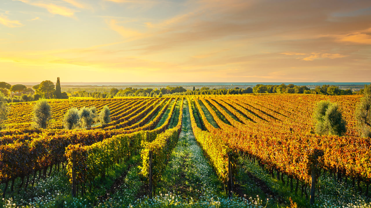 Bolgheri, frazione di Castagneto Carducci, Livorno, Maremma, Toscana (© ©StevanZZ/iStock)