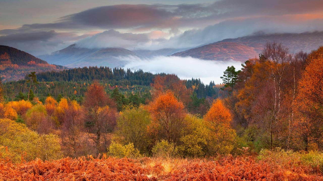 The Trossachs National Park in autumn, Stirling, Scotland (© Jon Arnold/Danita Delimont)