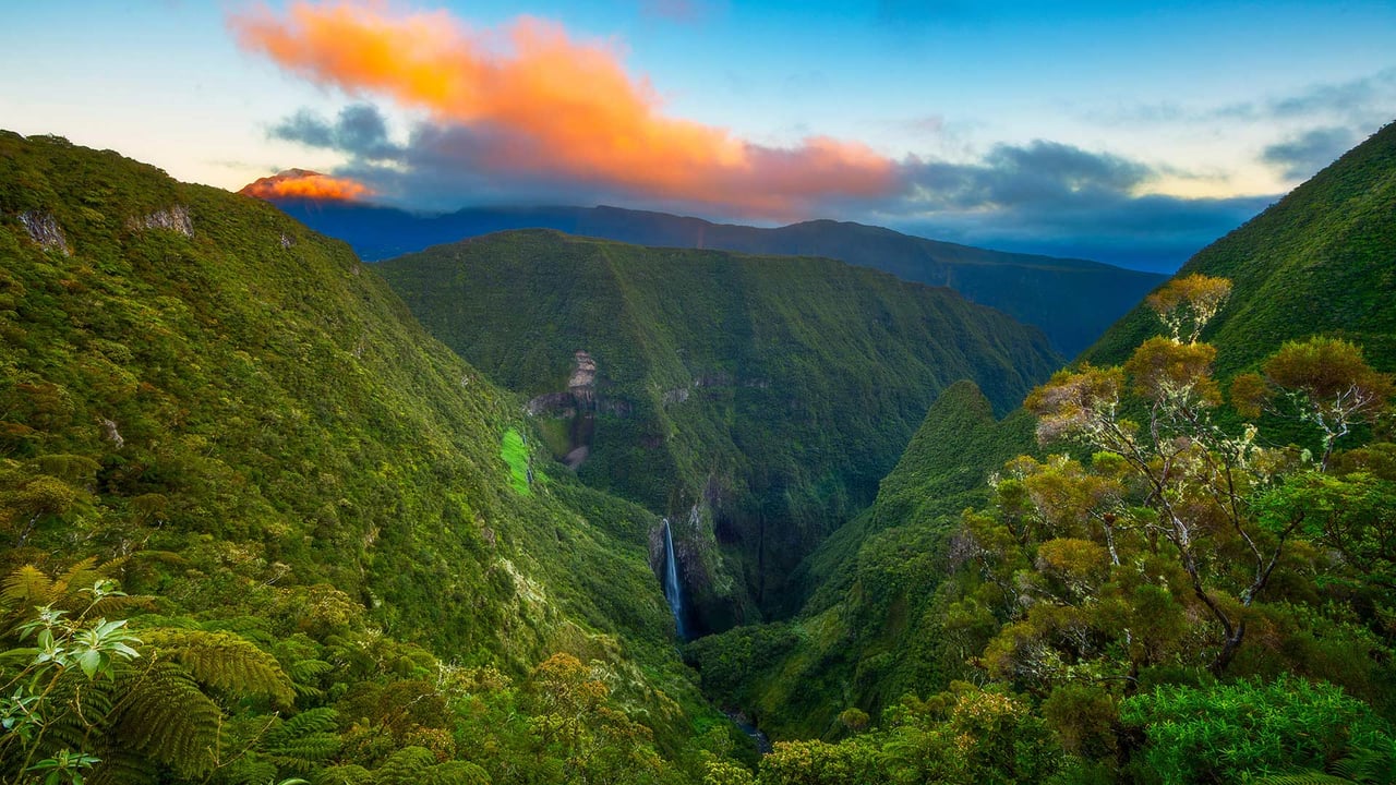 Trou de Fer dans le Piton des Neiges sur l’île de la Réunion à l’occasion de la fête réunionnaise de la liberté (© Gabriel Barathieu/Biosphoto/Alamy Stock Photo)