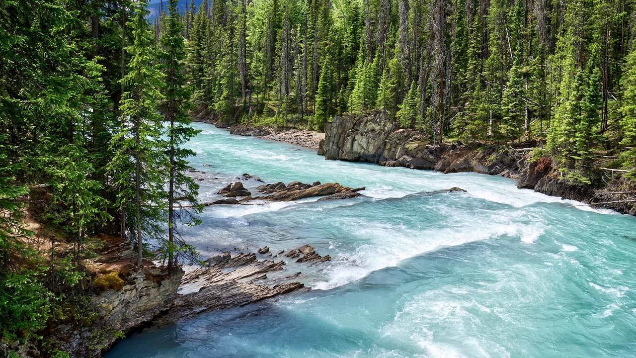 Glacial turquoise water of Kicking Horse River, Yoho National Park, B.C. (© Oleg Charykov/Getty Imgaes)