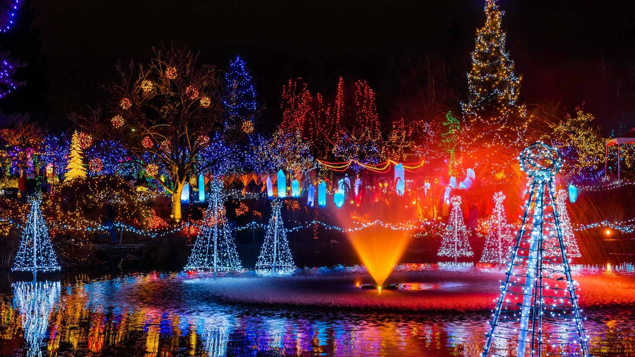 Festival of Lights, VanDusen Botanical Garden, Vancouver (© Wiliam Perry/Alamy Stock Photo)