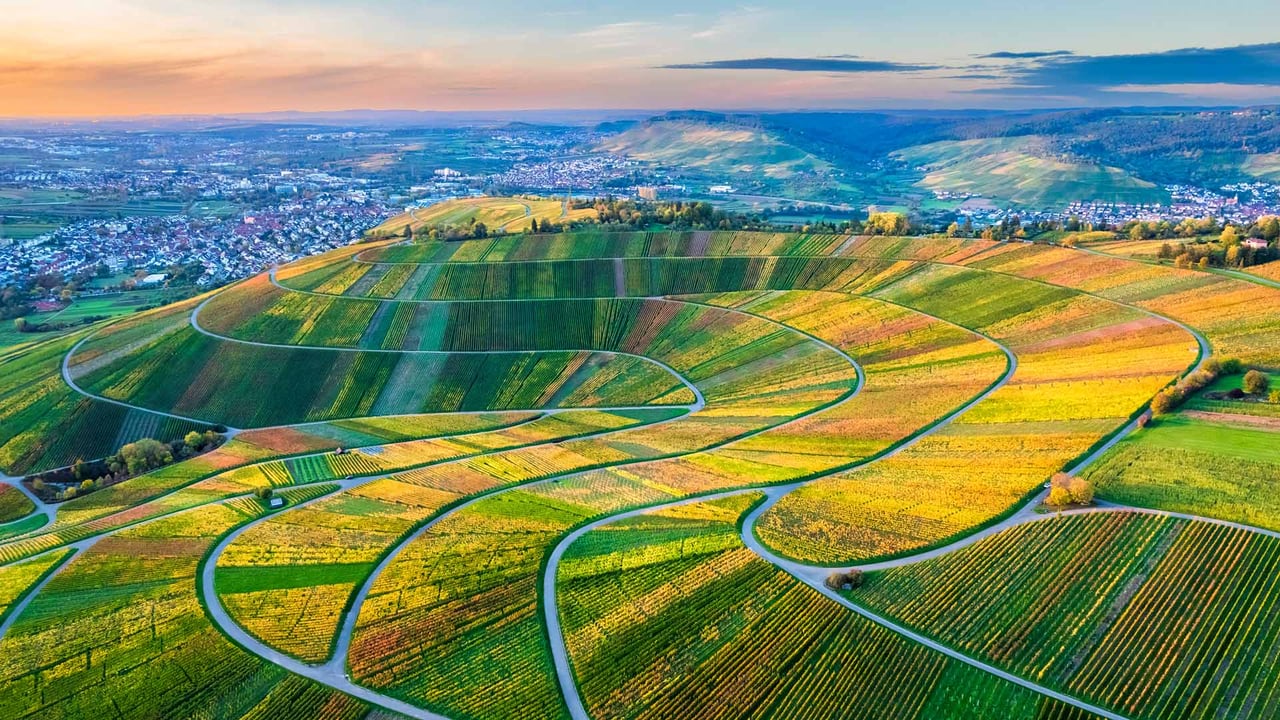 Drohnenansicht der Weinberge im Remstal, Baden-Württemberg (© Westend61/Getty Images)