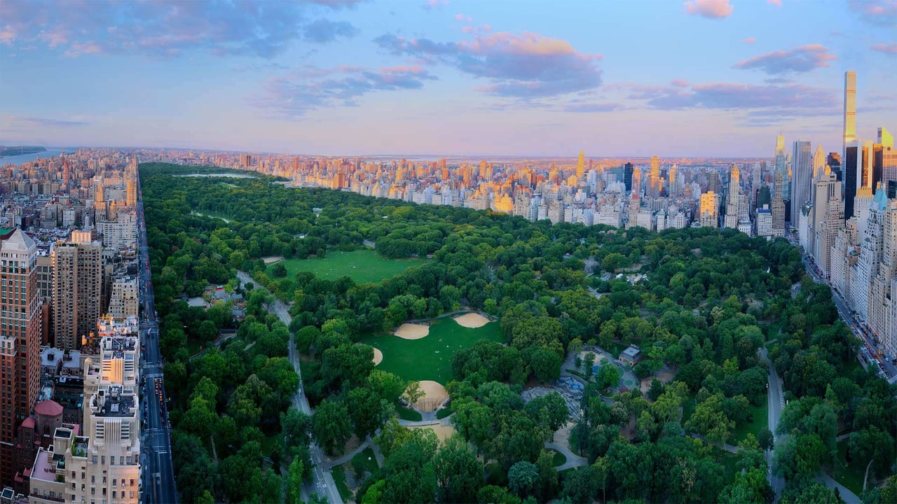 Central Park, New York City (© Tony Shi Photography/Getty Images)